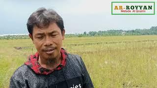Inspirasi Usaha; Padi Srinuk Organik