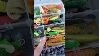 Рыбацкое счастье это когда нет ветра #shorts