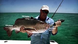 Inside Angling Series Trailer