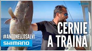  CERNIE A TRAINA CON ANTONELLO SALVI