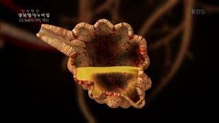생로병사의 비밀 - 백신으로 사라진 질병, 백신으로 예방할 수 있는 질병.20180228