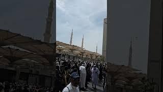 Dar e Nabi per ye Umer beety // big crowd at masjid nabawi #madina #madinah #masjidnabawi #shorts