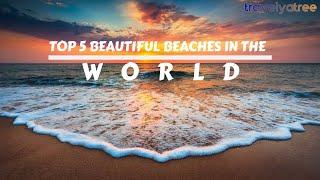 Top 5 Destination for Beach Lovers || Travel Yatree