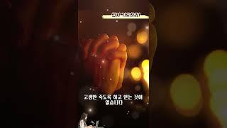 ▶먼저 기도하라 #Shorts #기도의동역자