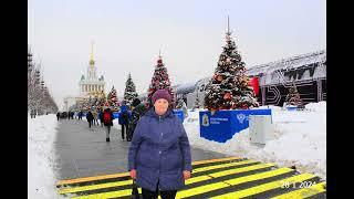 Новое видео 317