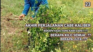 CABE KALIBER EPISODE TERAKHIR. TOTAL 22 X PETIK DAPAT BERAPA??