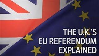 Brexit 101: The U.K.'s EU Referendum Explained