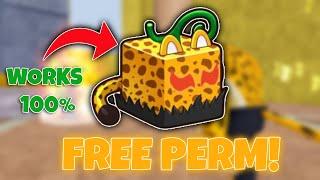How To Get A Permanent Leopard in BloxFruits for FREE!