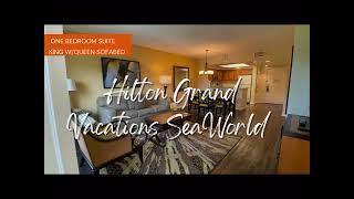 1 bedroom suite Hilton Grand Vacations SeaWorld