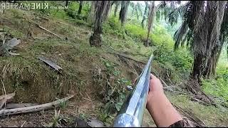 Himpunan video menembak babi hutan || tembakannya tepat pada sasaran.