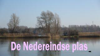 De Nedereindse plas