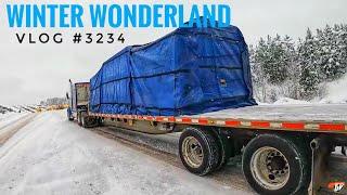 WINTER WONDERLAND | My Trucking Life | Vlog #3234