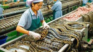 Snake Farm  Chinese Farmer Raise 3 Billions Snake To Make Profit 8.6 Million USD | Food Factory