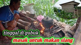 kehidupan di hutan masak di gubuk makan bersama bapak