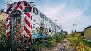 Abandoned Chicago Train METRA - 16 Train Cars