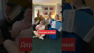 Споём вместе? Ивушки, вы ивушки – ПТАШИЦА под гармонь #караоке  #пташица #песниподгармонь #длядуши