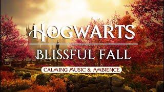 Autumn at Hogwarts | Calming Harry Potter Music & Cozy Fall Ambience #relax #study