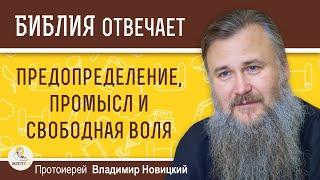 ПРЕДОПРЕДЕЛЕНИЕ, ПРОМЫСЛ И СВОБОДНАЯ ВОЛЯ.  Протоиерей Владимир Новицкий