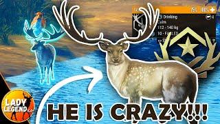 JUST ABOUT KILLED MYSELF to Spawn GREAT ONE FALLOW #2!!!  - Call of the Wild