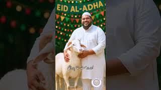 kurbani ke liye rasayan na mile to Kya Karen #trending #islam #shorts #yt #ytshorts #islamic #status