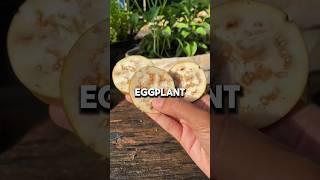Easy Way to Grow Eggplants from Fruit #GrowYourOwn #EggplantGarden #EasyGardening #GardeningTips