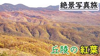 長野観光,ビーナスライン霧ヶ峰で美しい紅葉写真を撮れるのか？【後編】(車山高原～蓼科湖) Nagano photo travel in Japan