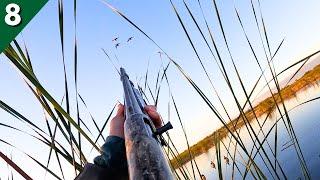 Duck Hunting My Favorite Minnesota Public Marsh! (Limited Out)