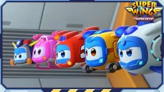  SUPERWINGS5 Super Pets! Full Episodes Live 