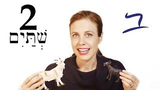 Hebrew - Plural Nouns & Adjectives - Free Biblical Hebrew - Lesson 2