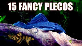 Pleco Panache: Discover 15 Unique Pleco Fish Types!