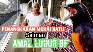 PENANGKARAN MURAI BATU MEDAN TRAH JUARA WAK SAIMAN AMAL LUHUR BF