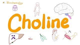 Are you Choline Deficient? | Diet & Nutrition Series