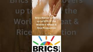 23 August 2023 What is BRICS BRICS Summit Live BRICS Cable BRICS Meeting 2023 Putin Modi