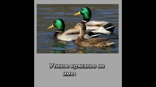 #интересные факты