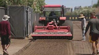 ASU football fields get new grass after 40 years | FOX 10 News