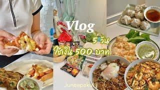 Vlog ทำอาหาร 5 วันใช้เงิน 500 บาท,วิธีเก็บเนื้อสัตว์,ห่อหมกทะเลไข่ข้น,หมูย่างซอส,ขนมปังพิซซ่า ep.5