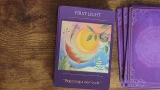 Sacred Traveler Oracle Cards by Denise Linn 'UNBOXING'