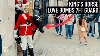 HORSE REALLY HAPPY TO SEE 7FT GUARD! | Horse Guards, Royal guard, Kings Guard, Horse, London