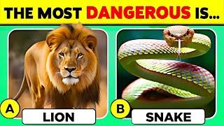  How Well Do You Know Animals   General Knowledge Trivia Quiz