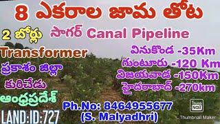 8 ACRES GUAVA FARM LAND FOR SALE. PRAKASAM DT. KURICHEDU (AP). PH.NO.8464955677. LAND:ID:727