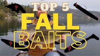 My Top 5 Early Fall Baits For Bass