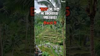 발리에 가면 꼭 해야하는 액티비티 Best 5