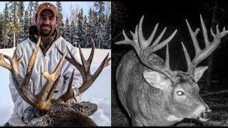 Saskatchewan Whitetail Hunt