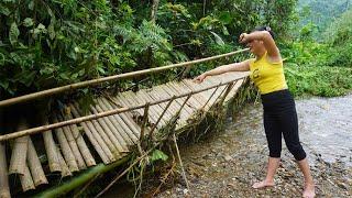 Floods washed away the bamboo bridge - Build stairs to the gate of the house - Nhat free bushcraft