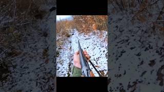 охота на кабана на снегу#cinghiale #chasse #wildboar #охота