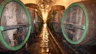 Pilsner Urquell Brewery Tour