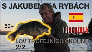 With Jakub fishing - Trophy perch on Perchzilla with Roman Kuřil (2/2)