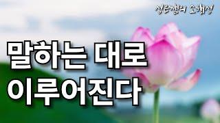 말하는 대로 이루어진다 - 운을 부르는 긍정 확언과 말버릇의 힘