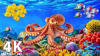 4K Ocean World  Colorful Tropical Fish, Jellyfish & Coral Reefs – Soothing Meditation Sounds