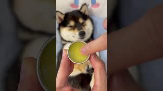 ASMR | 曼玉Manyu沉浸式身体护理清洁Spa 2 | 解压助眠